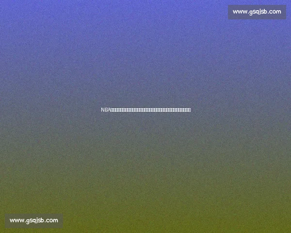 NBA总决赛湖人对阵热火比分揭晓紫金军团胜负全解析走势解读与关键时刻回顾